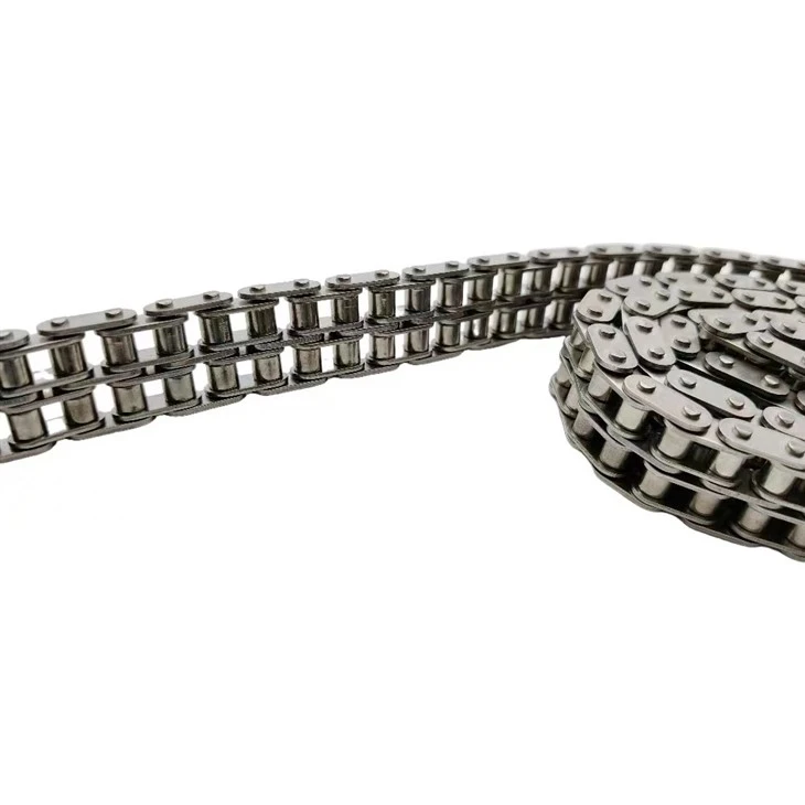 Double Row Conveyor Chain